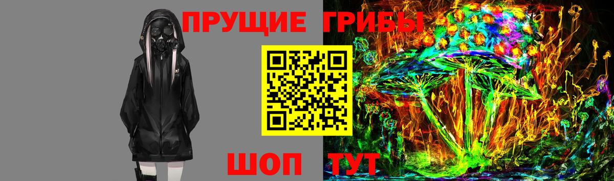 Галлюциногенные грибы Psilocybe Крымск