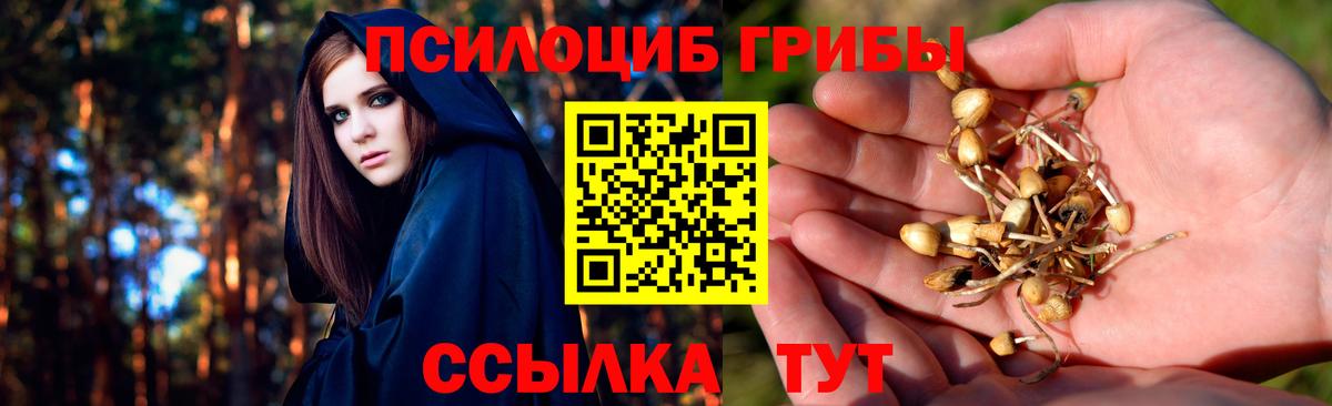 Крымск  Галлюциногенные грибы мухоморы  Вход с VPN 
